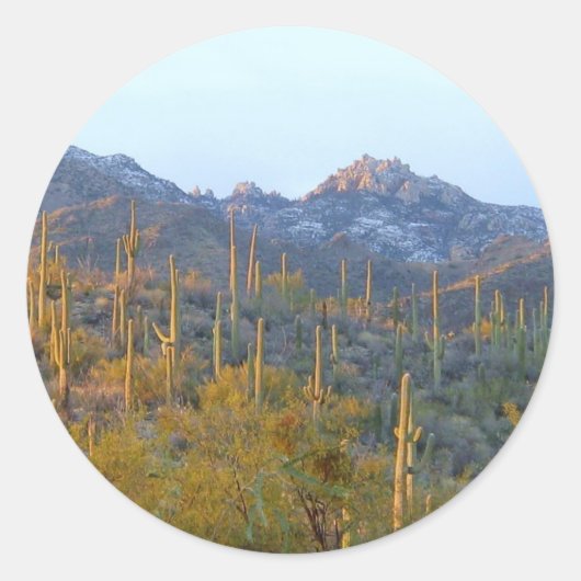 Sunlit Saguaro Field Runder Aufkleber (Vorderseite)