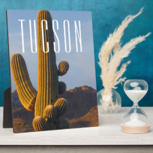 Sunlit Saguaro Tucson Scene Fotoplatte