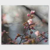 Sunlit Sakura Blume gegen den wolkigen Himmel Geschenkpapier (Flach)