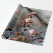 Sunlit Sakura Blume gegen den wolkigen Himmel Geschenkpapier (Ungerollt)