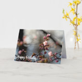 Sunlit Sakura Blume gegen den wolkigen Himmel Karte (Gelbe Blume)