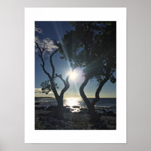 Sunlit Shore Hawaii Blue Color Fotografie Poster