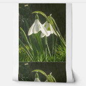 Sunlit Snowdrops Wallpaper Tapete (Abrollen)