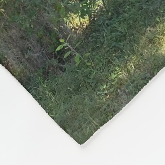 Sunlit Spanish Moss Fleecedecke (Ecke)