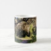 Sunlit Spanish Moss Kaffeetasse (Mittel)