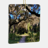 Sunlit Spanish Moss Keramikornament (Rechts)