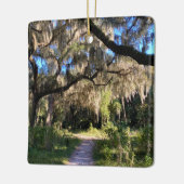 Sunlit Spanish Moss Keramikornament (Links)
