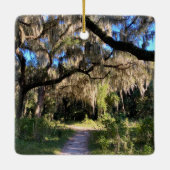 Sunlit Spanish Moss Keramikornament (Rückseite)