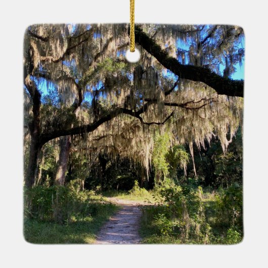 Sunlit Spanish Moss Keramikornament (Rückseite)