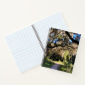 Sunlit Spanish Moss Notizblock (Innenseite)