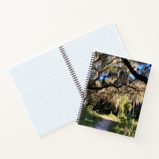 Sunlit Spanish Moss Notizblock (Innenseite)