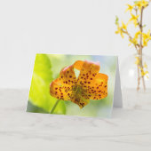 Sunlit Tiger Lily Blank Grußkarte Karte (Gelbe Blume)