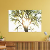 Sunlit Tree Leinwanddruck (Insitu (Wohnzimmer))
