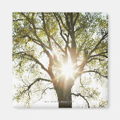 Sunlit Tree Magnet (Vorne)