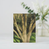 Sunlit Tree Postkarte (Stehend Vorderseite)