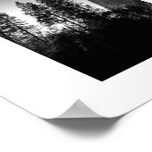 Sunlit Trees Yosemite Black and White Fotografy Poster (Ecke)