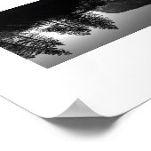 Sunlit Trees Yosemite Reflection Photography Poster (Ecke)