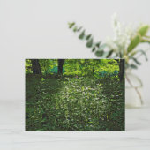 Sunlit Underwachstum. Blackweir Woods, Cardiff Karte (Stehend Vorderseite)