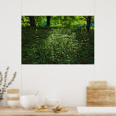 Sunlit Underwachstum. Blackweir Woods, Cardiff Poster (Küche)