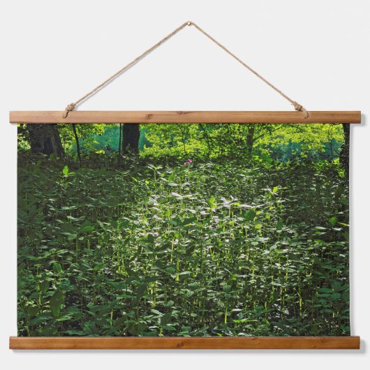 Sunlit Underwachstum. Blackweir Woods, Cardiff Wandteppich Mit Holzrahmen (Vorne)