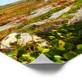 Sunlit View Poster (Ecke)