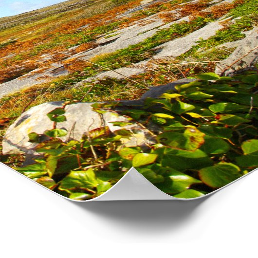 Sunlit View Poster (Ecke)