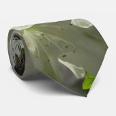 Sunlit White Azaleas Beautiful Spring Flowers Krawatte (Gerollt)