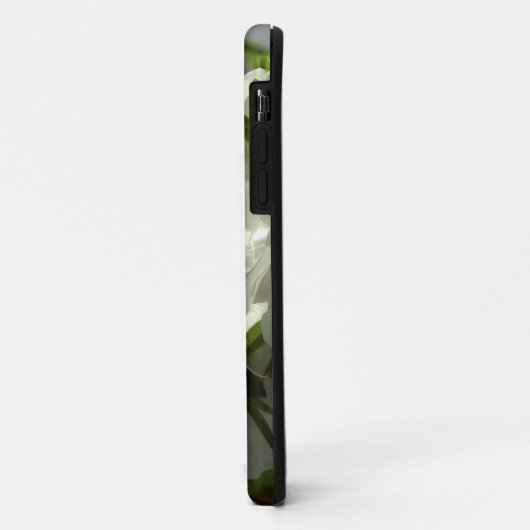 Sunlit White Azaleas Schöne Frühlingsblumen Case-Mate iPhone Hülle (Hinten/Links)