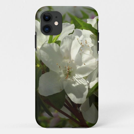 Sunlit White Azaleas Schöne Frühlingsblumen Case-Mate iPhone Hülle (Rückseite)