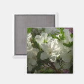 Sunlit White Azaleas Schöne Frühlingsblumen Magnet (Vorderseite/Rückseite)
