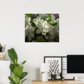 Sunlit White Azaleas Schöne Frühlingsblumen Poster (Heimbüro)