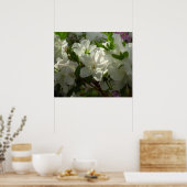 Sunlit White Azaleas Schöne Frühlingsblumen Poster (Küche)