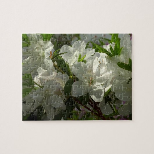 Sunlit White Azaleas Schöne Frühlingsblumen Puzzle (Horizontal)