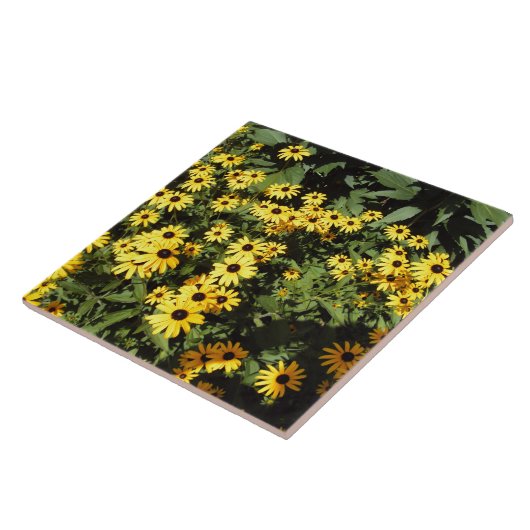 Sunlit Wiese Fliese (Seite)