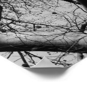 Sunlit Winter Branches (B&W) Poster (Ecke)