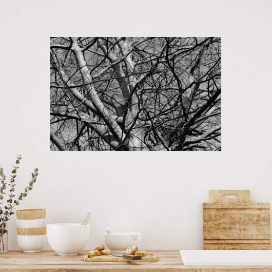 Sunlit Winter Branches (B&W) Poster (Küche)