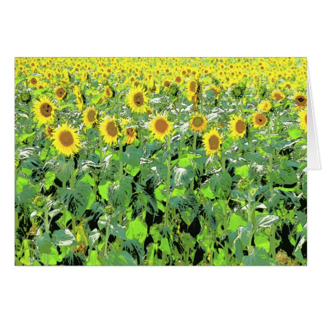 Sunnies (Vorderseite (Horizontal))