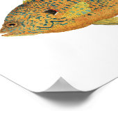 Sunnies - Bluegill & Pumpkinseed Poster (Ecke)