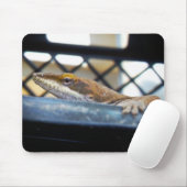 Sunning Green Anole Lizard Foto Mousepad (Mit Mouse)