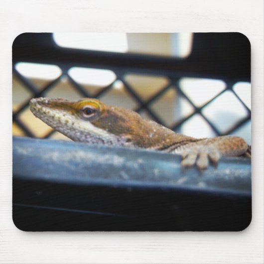 Sunning Green Anole Lizard Foto Mousepad (Vorne)