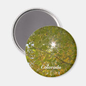 Sunny Aspen Magnet (Vorderseite/Rückseite)