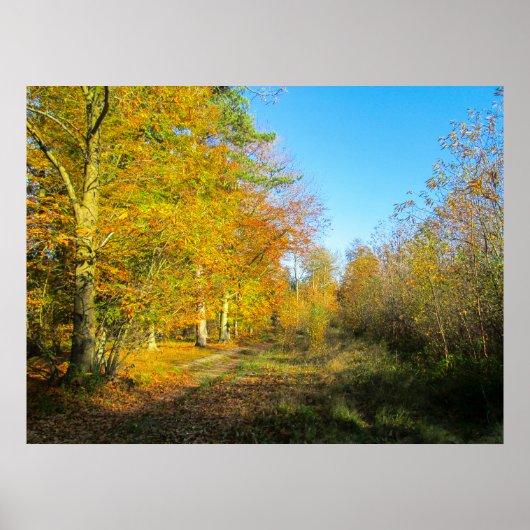 Sunny Autumn Forest - Personalised Poster (Vorne)