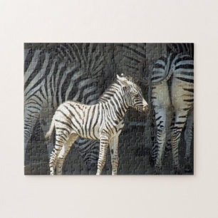Sunny Baby Zebra Puzzle