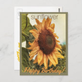 Sunny Birthday wünscht Postcard Postkarte (Vorne/Hinten)