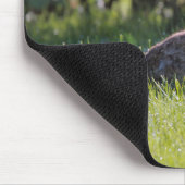 Sunny Bunny Mousepad (Ecke)