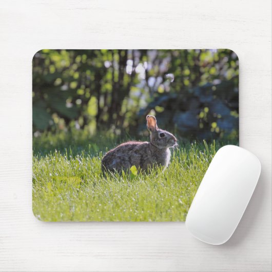 Sunny Bunny Mousepad (Mit Mouse)
