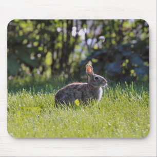 Sunny Bunny Mousepad