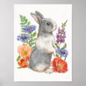 Sunny Bunny Poster (Vorne)