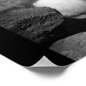 Sunny Bunny Poster (Ecke)