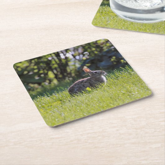 Sunny Bunny Rechteckiger Pappuntersetzer (angewinkelt)